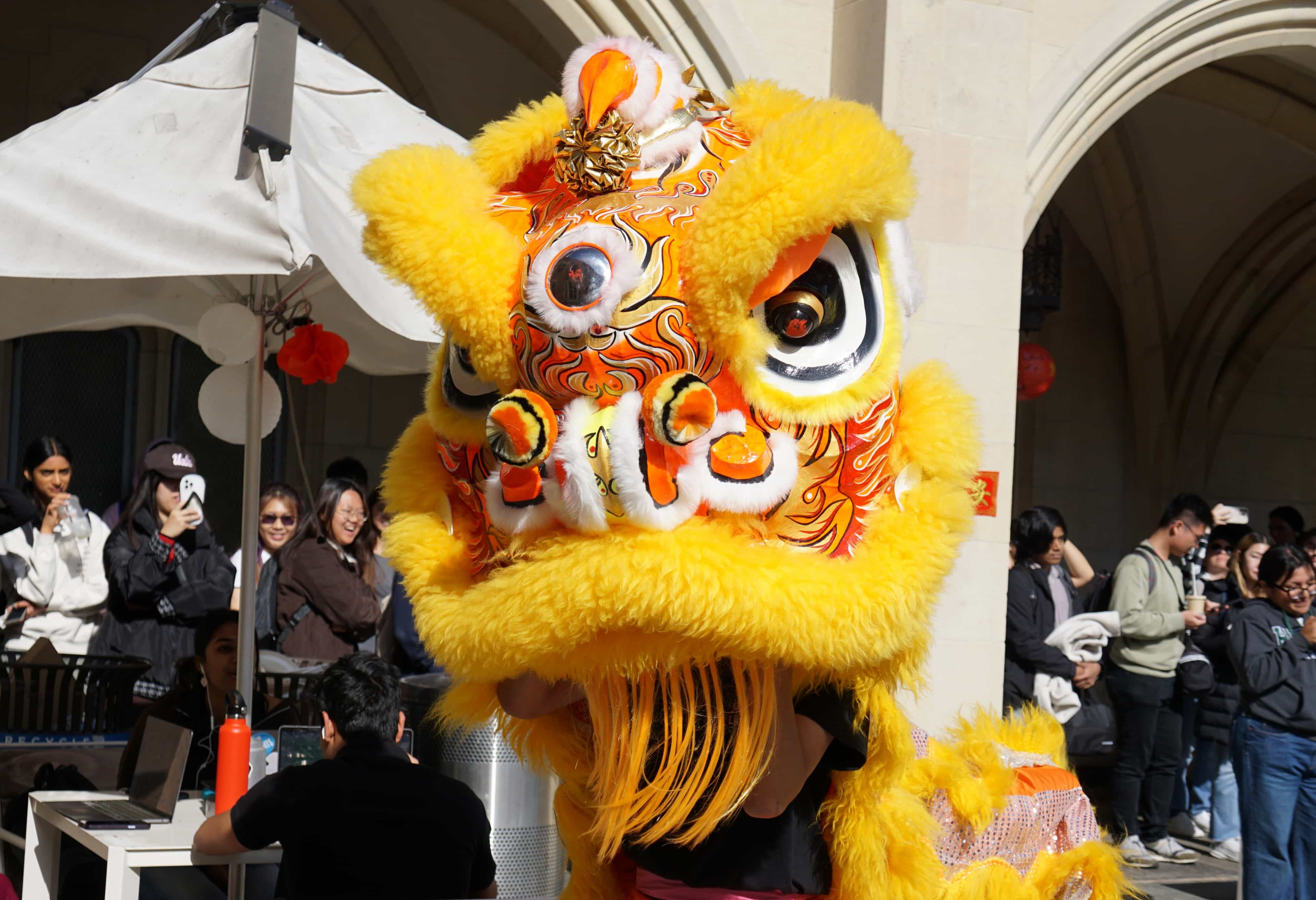 Lion Dance